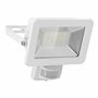 goobay 53882 Projecteur détecteur de Mouvement – Spot LED 30 W – Blanc Neutre 4000 K – 2560 LM – Angle d'éclairage 100 ° – Indic