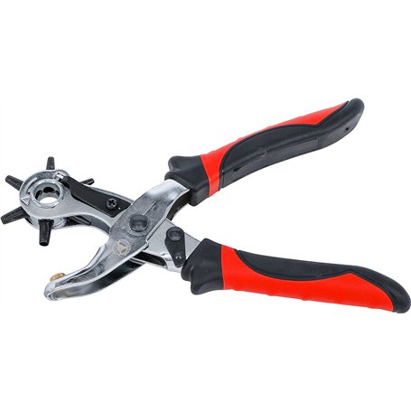 BGS Diy 75839 | Pince à poinçonner | exécution lourde | 2-4