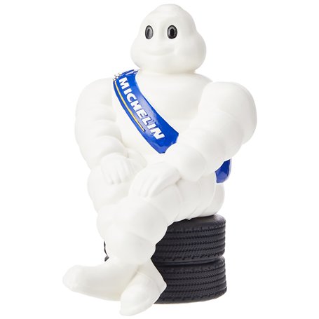 MICHELIN 330102 Mâle