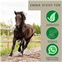 Emma Set Cheval Huile pour Sabots avec Brosse + baume pour Sabots I Soins des Sabots I Graisse pour Sabots Poney I Gel pour Sabo