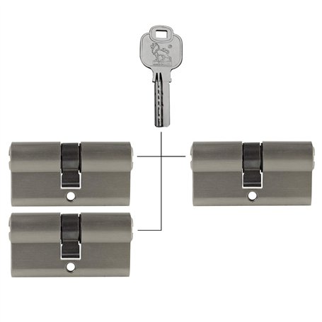 Lot de 3 cylindres profilés 70 mm 35/35 à fermeture identique avec 15 clés réversibles Gris métallisé