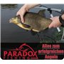 Paradox Fishing Boîte de bas de ligne