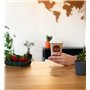 2 l - 8 oz - Couvercle à café à emporter (200 tasses)