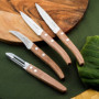 Ensemble de Couteaux Amefa Forest Wood (4 pcs) 21,99 €