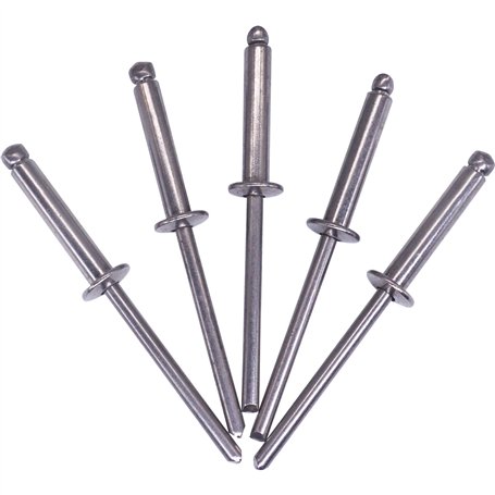 SKIR'CO Lot de 30 rivets aveugles en acier inoxydable à tête bombée DIN 7337 A2 (30