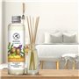 Recharge Diffuseur Gingembre et Basilic 200ml - Recharge Diffuseur à l'Huile Essentielle de Gingembre - Aromathérapie - Parfum d