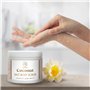 Gommage pour le Сorps noix de Coco 500 g - Gommage au Sel pour le Сorps - Gommage Corporel à Huile de Coco et à Huile de Pépins 