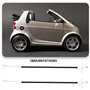 EMSea Lot de 2 câbles de poignée de porte extérieure de voiture 0001973V005 Compatible avec Smart 450 Fortwo Coupé 450 1998-2007