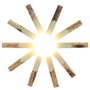 OriGlam Lot de 10 anches professionnelles pour clarinette en si bémol Force 2