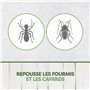 Pyrel Aérosol Anti-insectes rampants, Répulsif Rampants Fourmis et Cafards - Protection longue durée - 1 Aerosol 300 ML