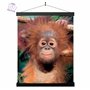3D LiveLife Affiche Murales Lenticulaires Bébé Orang-Outan de Deluxebase. Poster Singe 3D sans Cadre. Décoration Murale Parfaite