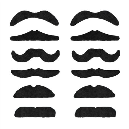 TRIXES Lot de 12 Fausses Moustaches Auto-adhésives Assorties pour déguisement – x6 The Smarty