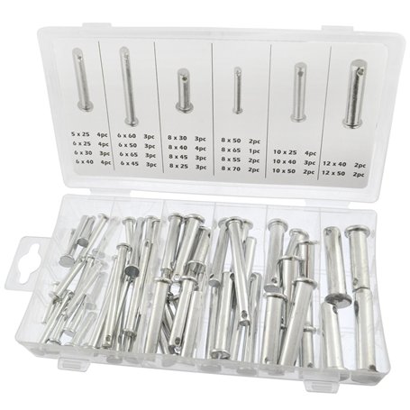 60pc de l'axe de chape / Tillertine / Tablier / Jaw broche 5mm Set Assortiment - 12mm AST48