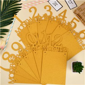 myVolts Câble d'alimentation USB 5V Compatible avec Zoom H4n Pro Enregistreur