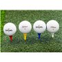 LONGRIDGE t Longs Tees de Golf en Plastique 50 mm Packs (20 PCS)