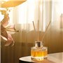 MATANA 10 Bouteilles Diffuseur en Verre Vides avec 40 Bâtonnets de Parfum - Diffuseur Parfum Bouteilles, Flacon Diffuseur Parfum