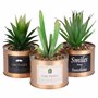 BELLE VOUS 3 Pièces Mini Plante Artificielle Interieur en Plastique avec Pot en Métal Cuivré - 10 x 7