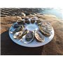 Lot de 2 - Assiette à Huîtres en Plastique – 12 Places