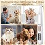 Mapille Tondeuse Chien Set, Tondeuse à Pattes de Chien avec Lumière LED Rechargeable par USB, Paw Trim Pro Étanche, Silencieuse 