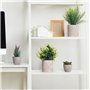 Winter Shore Plantes Artificielles Interieur (Lot 4) Petite Plante Artificielle Decoration Style Champetre - Fausse Plante en Po