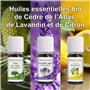 Coffret 8 x 10 ml Huiles Essentielles BIO distillées en FRANCE + Guide d'Aromathérapie PDF | HEBBD, HECT | Kit pour Cuisine, Dif