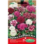 Germisem Graines Œillet de Poète double varié DOUBLE FLOWERED MIX