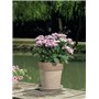 KOTARBAU® Pot de fleurs en terre cuite - Diamètre : 28 cm - Résistant au gel - Bord nervuré - Café