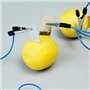 EsportsMJJ Fruit Batterie Lumière Diode Science Kit Orange Pomme De Terre Citron Batterie Physique Enseignement Expérience