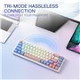Redragon K709 PRO Clavier de jeu RVB sans fil Gasket 65 % Clavier mécanique échangeable à chaud 68 touches avec socle Free Mod,
