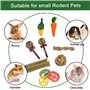 pour Jouets à Mâcher de Cochon d'Inde Hamster Chinchilla Gerbille