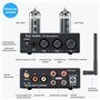 Fosi Audio T20 Amplificateur récepteur stéréo à tubes Bluetooth, 2.0 CH Classe D Préamplificateur numérique Mini Hi-Fi Ampère ac