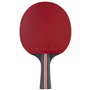 Revêtement Homologué ITTF