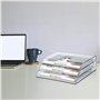 Acrimet Horizontal Trieur Organisateur de Document A4 (Coloeur Transparent Cristal)