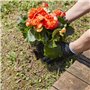 ELETTROSERVICE Euro Marketing Manufacturing Drilly Trivella da Giardino Tarière de Jardin, Noir