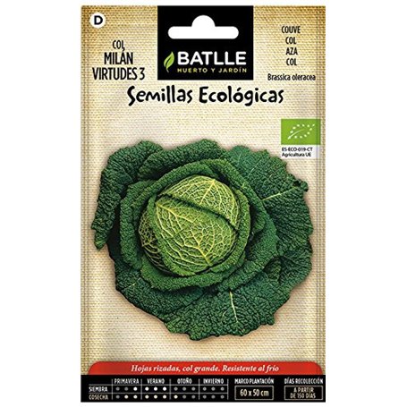 Graines Bio de Batlle - Chou de Milan Virtudes 3 (2g)