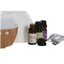 Diffuseur d'Huiles Essentielles Home ESPRIT Urbaine 10 ml (4 Pièces)