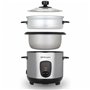 cuiseur à riz Orbegozo CO-3025 400 W Noir Acier