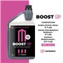 UP NUTRIENTS Bio Engrais Stimulateur de Floraison BOOST UP 1L | Bio Stimulateur pour Plantes et Cultures | Accélérateur de Produ