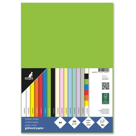 kangaro - K-0043F275 - Papier de couleur vert - Format A4-120 g/m² - FSC mix - Papier à lettre - Papier à lettre DIY - 29