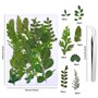 134 pièces Vraies Fleurs Pressées Séchées, Florales Naturelles Feuille de Fleurs Pressées pour Bricolage Résine Bijoux Faisant F
