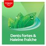 COLGATE - Dentifrice Chlorophyle Fraîcheur Intense - 96% d'ingrédients d'origine naturelle - Protection efficace contre les cari