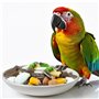 Nobleza - Nourriture pour Perruches
