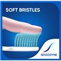 Sensodyne Lot de 6 brosses à dents sensibles, douces (la couleur peut varier)