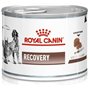 Royal Canin Veterinary Recovery | 12 x 195 g | Aliment Complet diététique pour Chiens et Chats Adultes | Mousse Ultra Douce à Ha