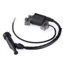 Yctze pour bobine allumage motoculteur Bobine d'allumage, bobine d'allumage pour GX110 GX140 GX120 GX160 GX200 bobines d'allumag