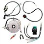 Alamor Kit de Harnais de Fil Magneto 50-125Cc de commutateur de Bougie d'allumage de Moto de Dirt Pit Bike Cdi Universel