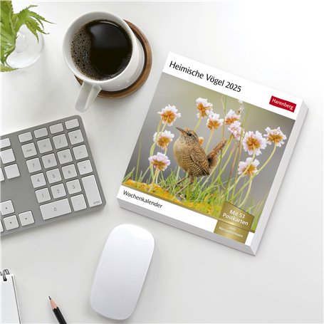 Extrémité de fraise à nez de boule à 2 cannelures, coupeur de tour de fraisage HSS, utilisé dans les fentes de coupe et de croch