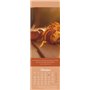 Jours pleins de bonheur Marque-page & calendrier 2025 : petit cadeau avec photos et dictons inspirants et sagesses de vie.Calend