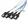 Cable Matters Câble interne Mini SAS vers SATA 1m (Cable Mini SAS vers SATA, SFF-8087 vers SATA Forward Breakout)