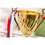 Wrzbest Coupe du trophée – Grand trophée, prix d'or pour le sport, les tournois, les compétitions, la ligue de football et d'aut
